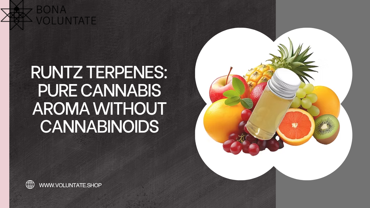 Runtz Terpenes: Pure Cannabis Aroma Without Cannabinoids