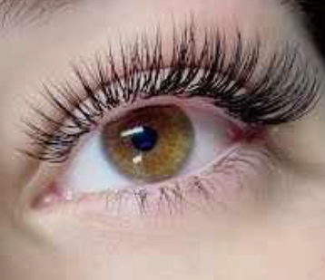 Premium Eyelash Extensions & Lash Lifts