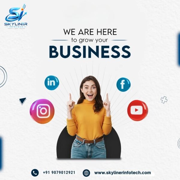 Digital Marketing Company in Jaipur, India – Skyliner Infotech