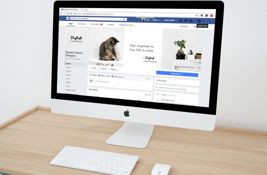 Affordable SEO Services That Don’t Cut Corners XPO Outdoors