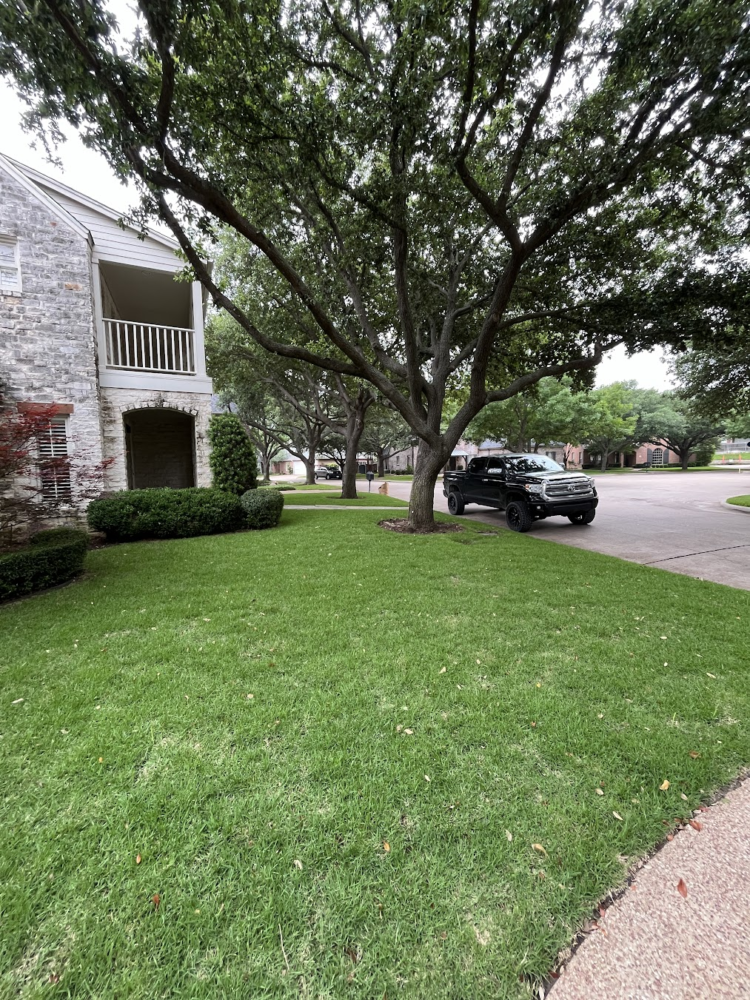 Artificial Grass Installation in Dallas TX: A Practical Guide to a Greener, Easier Lawn