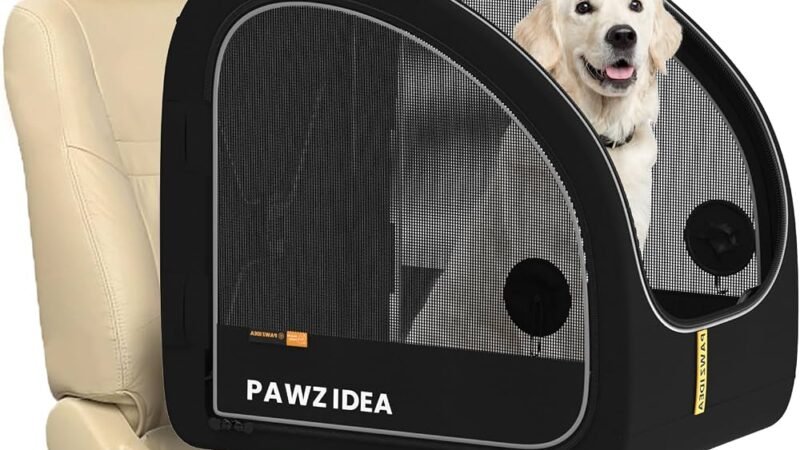 Ultimate Guide to Dog Rucksacks: Comfortable Hands-Free Adventures with Your Canine Companion
