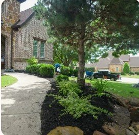 Transformed Landscaping Co.: Modern Landscape Design in Austin TX for Better Outdoor Living