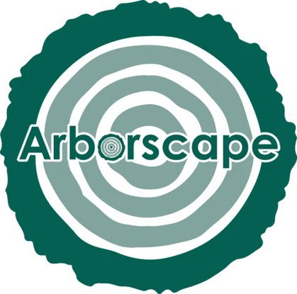 Expert Tree Surgeon Penrith | Arborscape UK