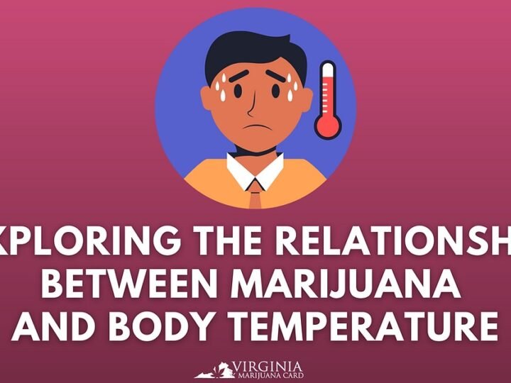 Free Medical Marijuanas Card VA: Eligibility and Patient Guide