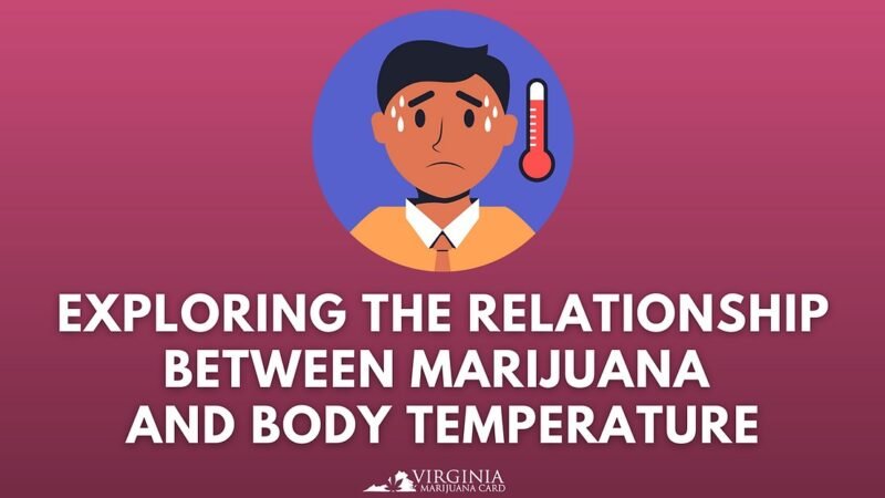 Free Medical Marijuanas Card VA: Eligibility and Patient Guide