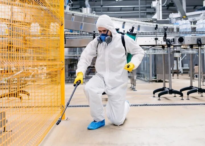 A Practical Guide to Professional Commercial Pest Control