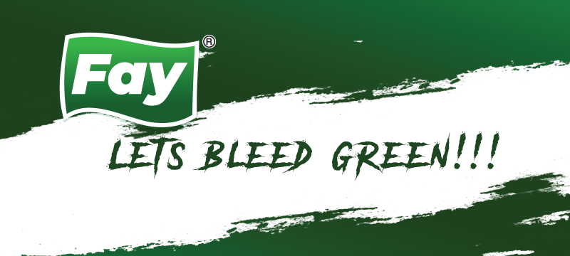Best Tissue Paper Buying Guide: What Makes Fay Stand Out