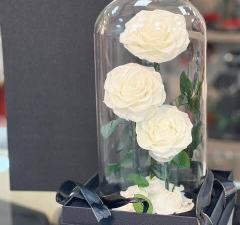 Preserved Roses as Gifts: Meaningful Ideas for Anniversaries, Birthdays, and Apologies