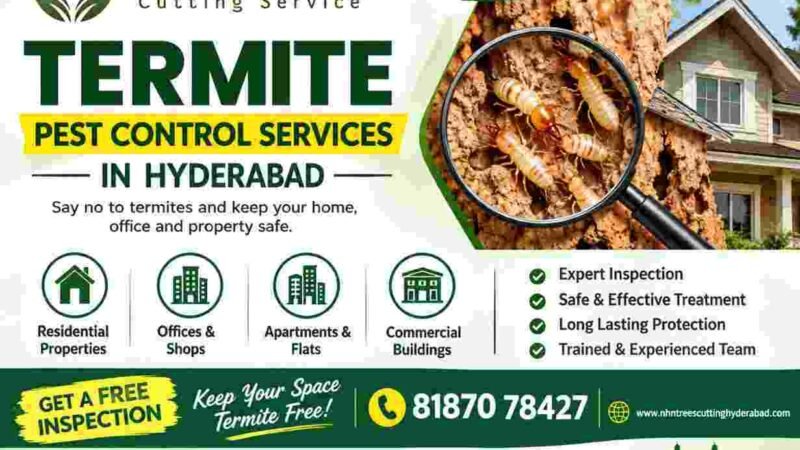 Termite Pest Control Services in Hyderabad
